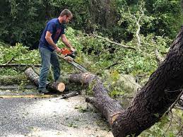 Mulching Services in Baldwin, GA